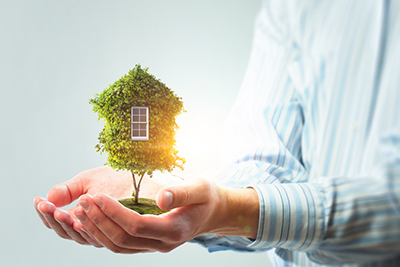 Eco-Friendly House: Facts and Myths